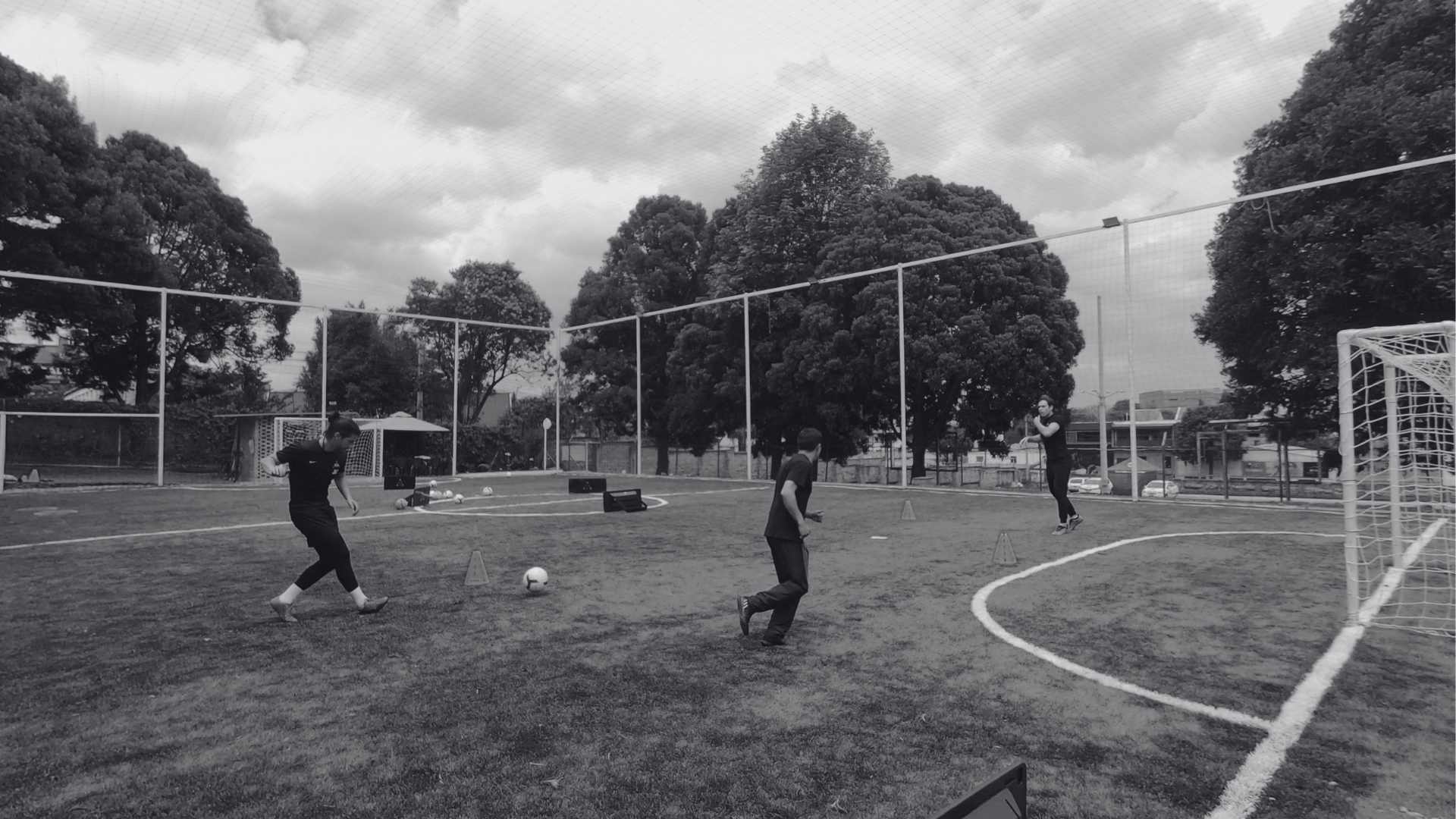 Cómo la Tecnología Está Transformando el Entrenamiento Deportivo